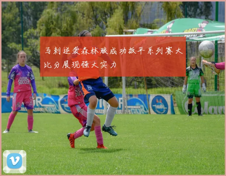 马刺逆袭森林狼成功扳平系列赛大比分展现强大实力