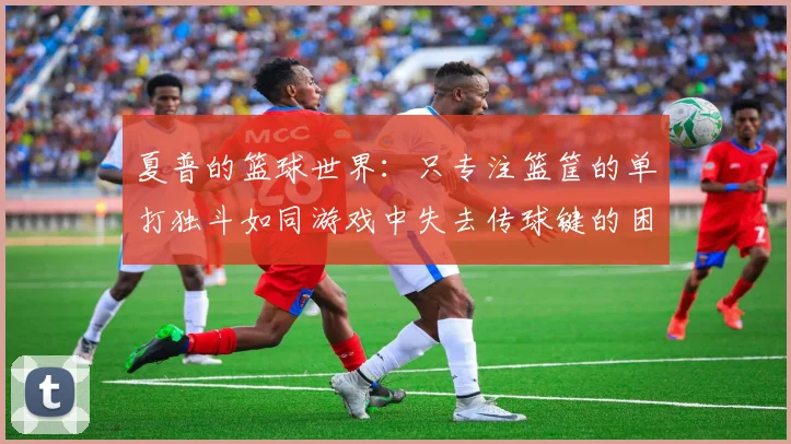 夏普的篮球世界：只专注篮筐的单打独斗如同游戏中失去传球键的困境