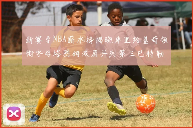 新赛季NBA薪水榜揭晓库里约基奇领衔字母塔图姆浓眉并列第三巴特勒排名第十