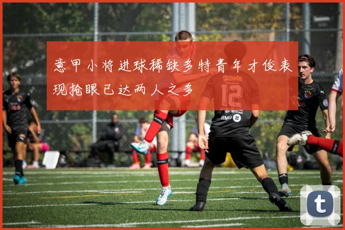 意甲小将进球稀缺多特青年才俊表现抢眼已达两人之多