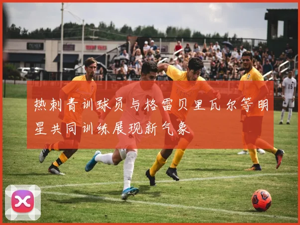 热刺青训球员与格雷贝里瓦尔等明星共同训练展现新气象